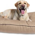 dog beds on sale