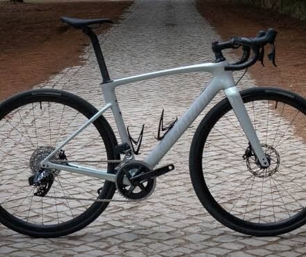 specialized roubaix