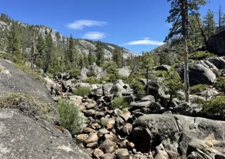 pinecrest lake