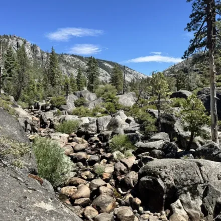 pinecrest lake